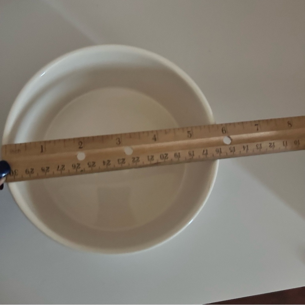 Rae Dunn Ceramic Pet Bowl - Picture 5 of 5